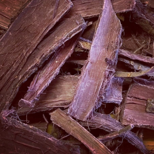ethically sourced Mimosa Hostilis root bark