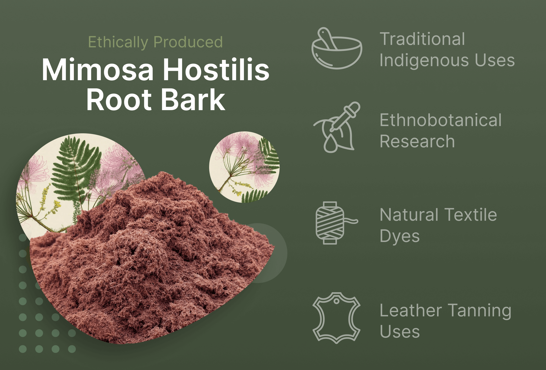 mimosa hostilis root bark powder