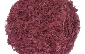 Root Bark Guide: Mimosa Hostilis & MHRB Powder