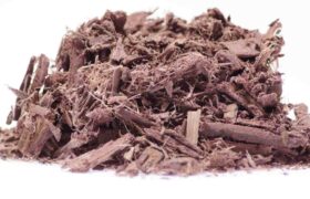 Unearthing the Secrets of Mimosa Hostilis Root Bark: From Ancient Wisdom to Modern Wonders