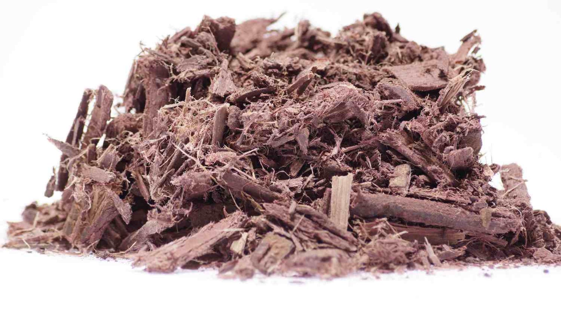 Mimosa-hostilis-Inner-Root-Bark-Close-up1-r25au008ermx8cug0tuxi6ce4pivoxkdy843nm37e8