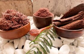 Unraveling the Mysteries of Natural Inner Bark