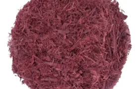 Mimosa Bark: Mimosa Hostilis Root Bark, Powder, and Wholesale Options